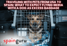 Traveling with pets from USA to Spain: What to Expect Flying Iberia With a Dog as Excess Baggage Traveling with pets from USA to Spain: What to Expect Flying Iberia With a Dog as Excess Baggage